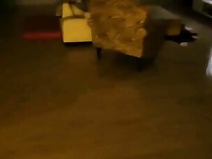 Best Blowjob Porn Videos